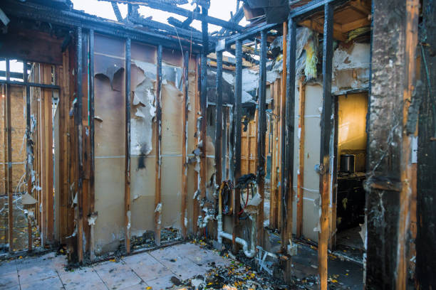 Professional Fire Damage Assessment technician working in Gurdon, AR